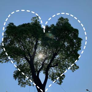 小俊的妈妈林阿姨
