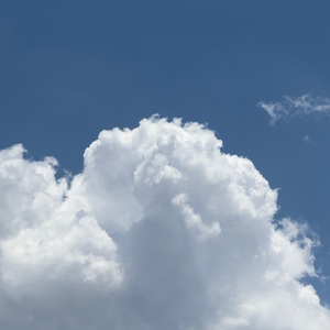 多人添荫蒂弄花蒂H
