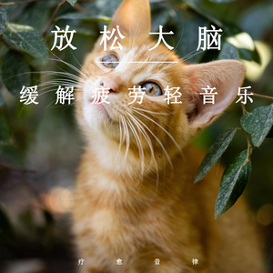 多人添荫蒂弄花蒂H
